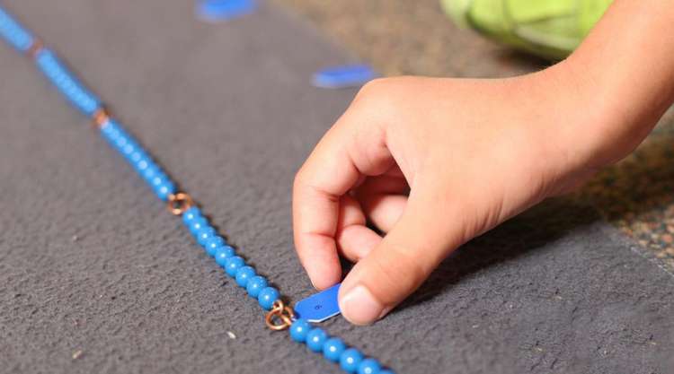 Maria Montessori E L Educazione Dei Bambini 10 Frasi Celebri